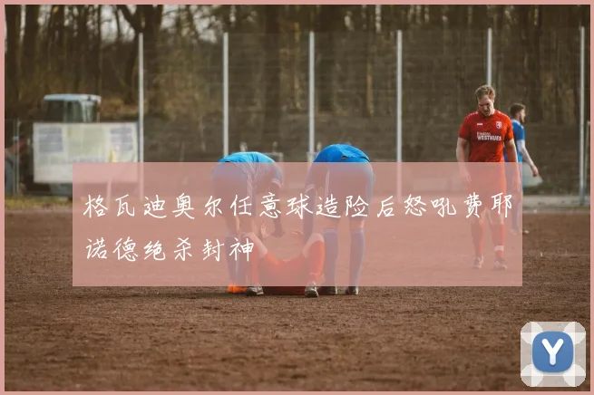 格瓦迪奥尔任意球造险后怒吼费耶诺德绝杀封神