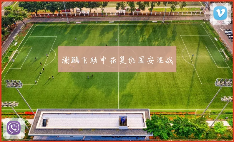 谢鹏飞助申花复仇国安混战