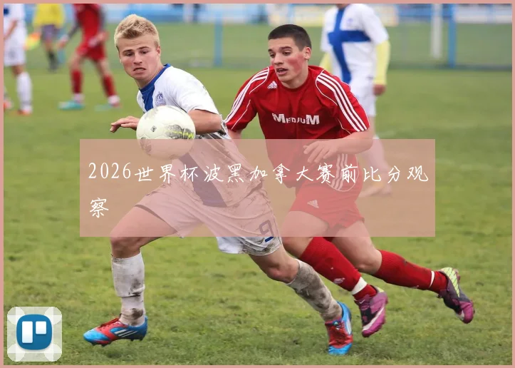 2026世界杯波黑加拿大赛前比分观察