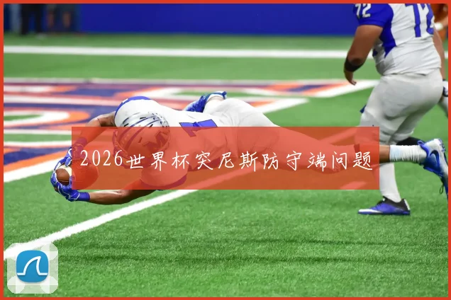 2026世界杯突尼斯防守端问题