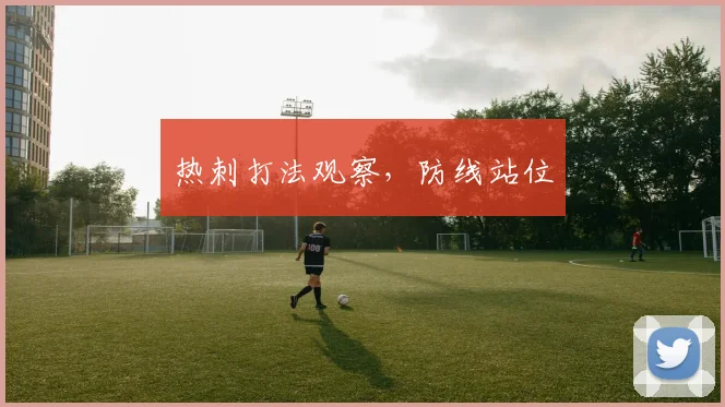 热刺打法观察,防线站位
