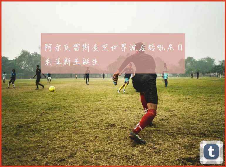 阿尔瓦雷斯凌空世界波后怒吼尼日利亚新王诞生