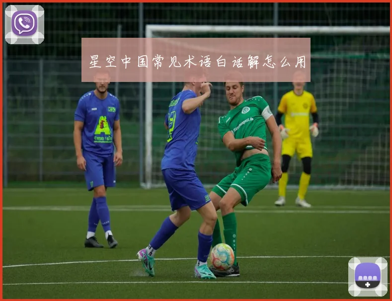 星空中国常见术语白话解怎么用